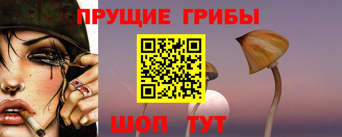 Псилоцибиновые грибы GOLDEN TEACHER Ноябрьск